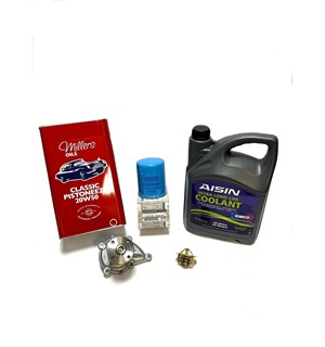 Datsun Kit Revisão Motor + Refrigeração 